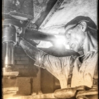 Profilbild von lionsforgezieckau