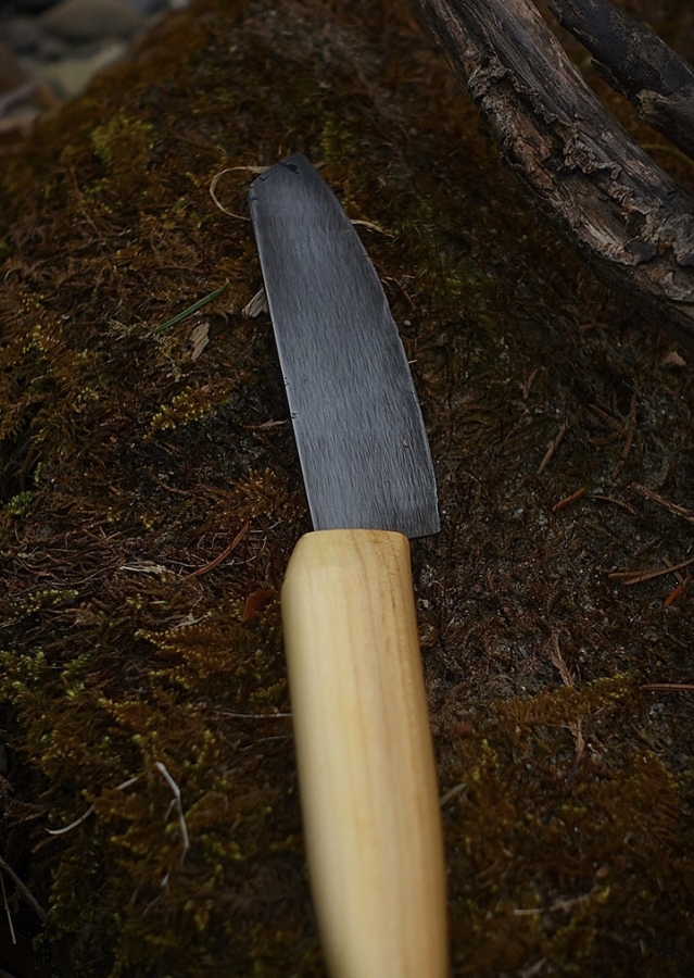 Kochmesser (kleines Petty)